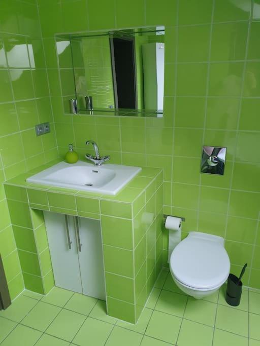 Apartman Radcice 70M2 V Rodinne Vile Liberec Dış mekan fotoğraf